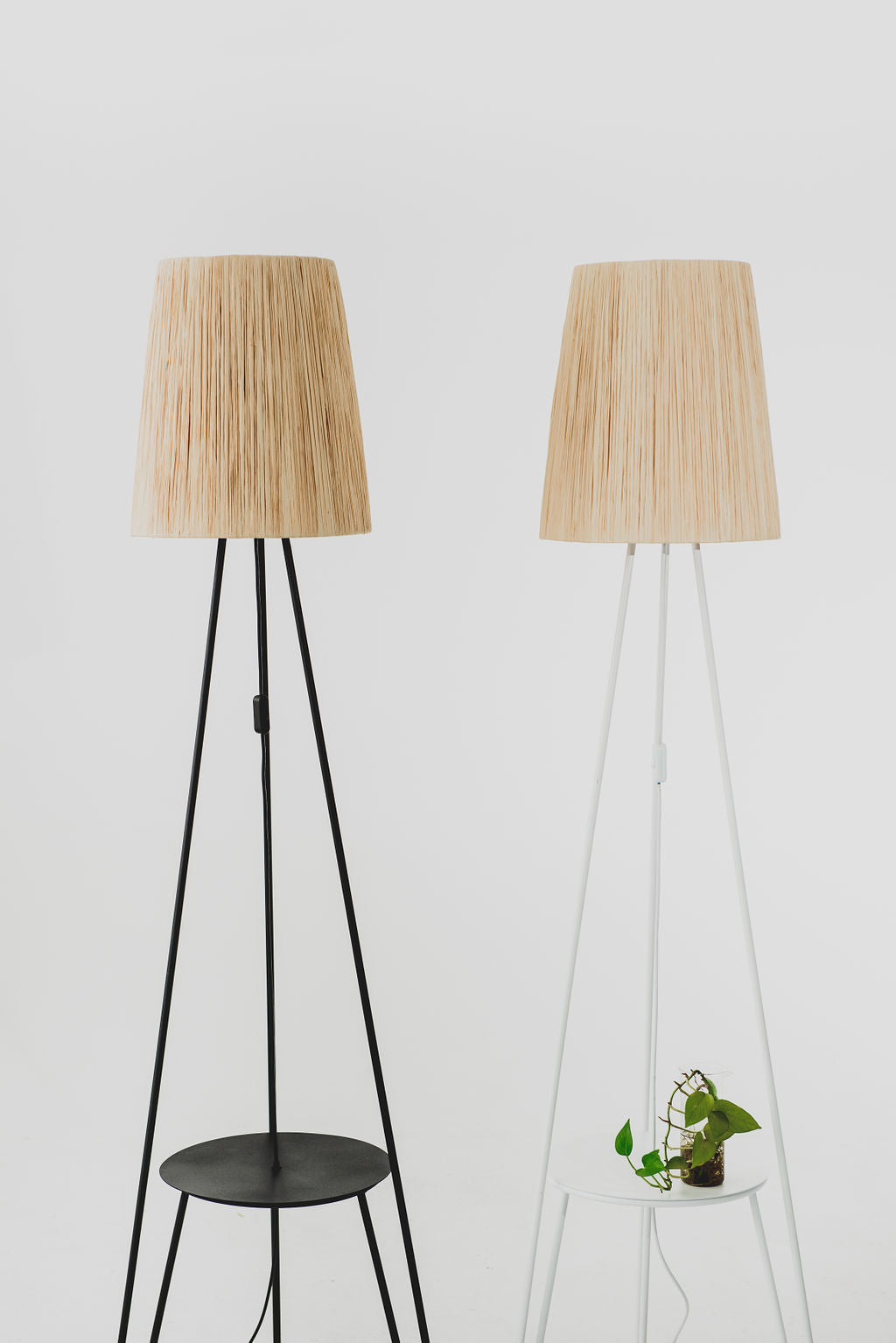 Halo Lamp