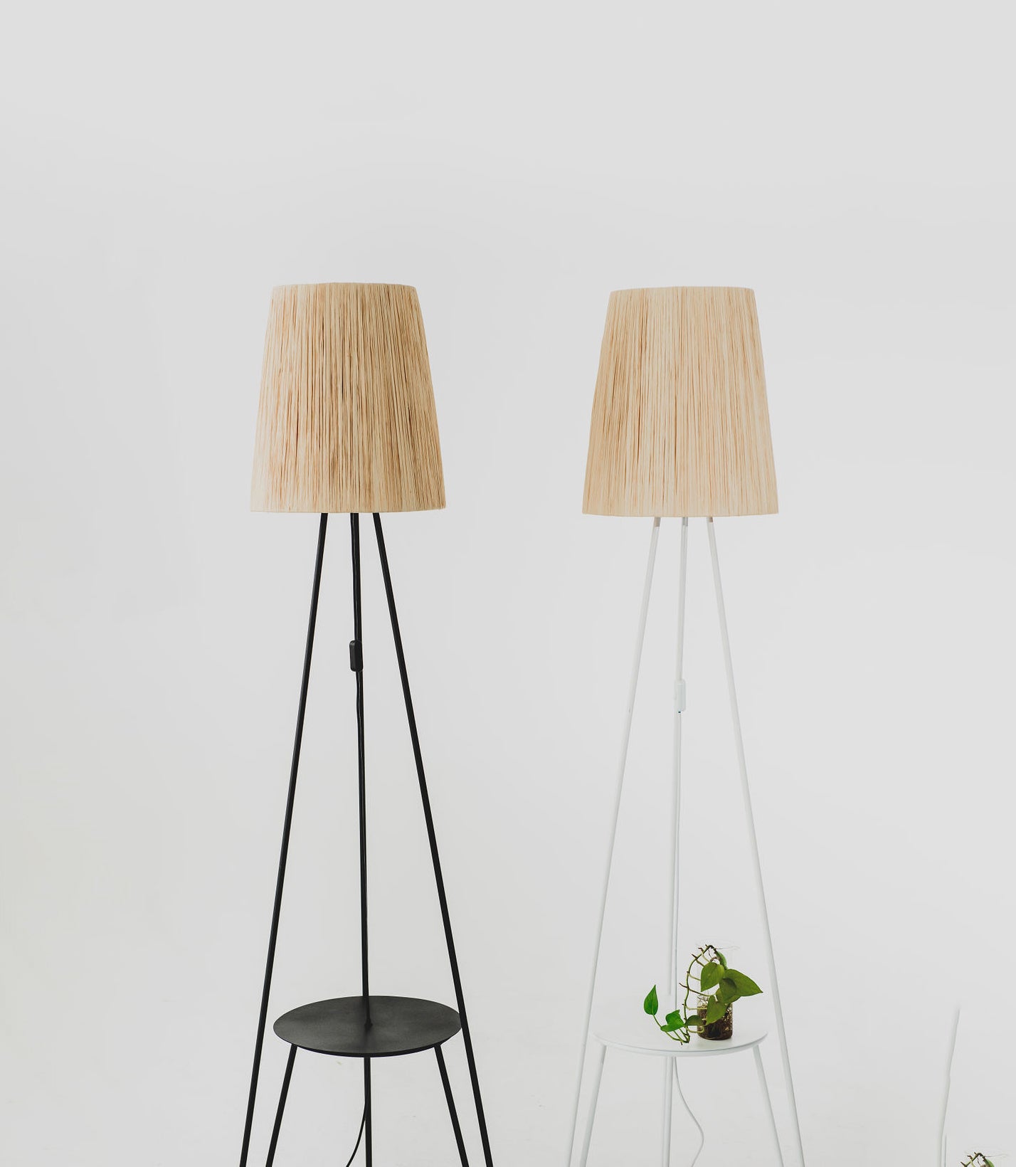 Halo Lamp